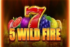 5 Wild Fire