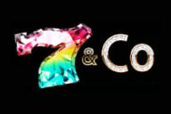 7 & Co