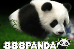 888 Panda