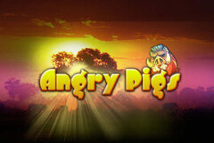Angry Pigs