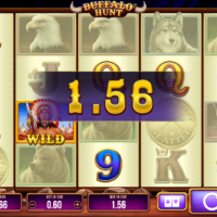 automat zdarma Buffalo Hunt výhra