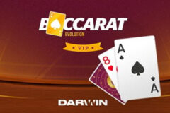 Baccarat Pairs VIP