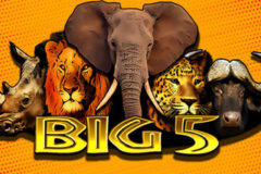 Big 5