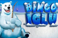 Bingo Iglu