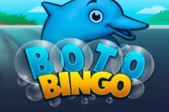 Boto Bingo