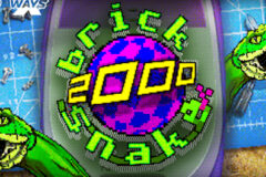 Brick Snake 2000