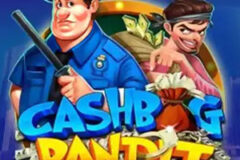 Cashbag Bandit