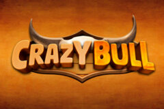 Crazy Bull