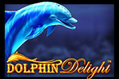 Dolphin Delight