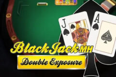 Double Exposure Blackjack