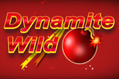 Dynamite Wild