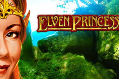 Elven Princess