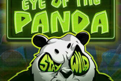 Eye of the Panda