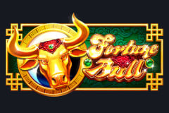 Fortune Bull