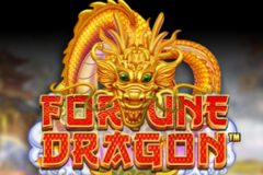 Fortune Dragon