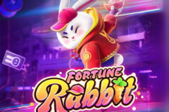 Fortune Rabbit