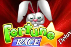 Fortune Race