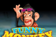 Funny Monkey
