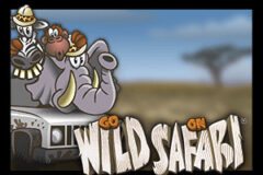 Go Wild on Safari