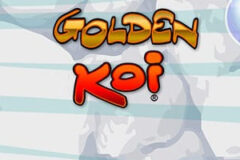 Golden Koi
