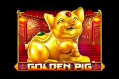 Golden Pig