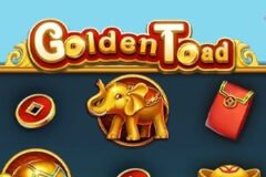 Golden Toad