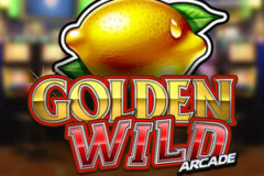 Golden Wild Arcade