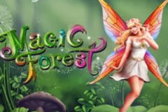 Magic Forrest