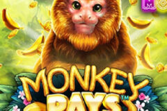 Monkey Pays