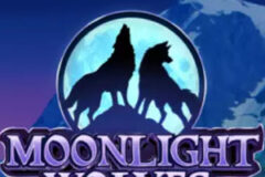 Moonlight Wolves