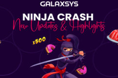 Ninja Crash