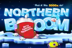 Northern Boom