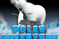 Polar Adventure