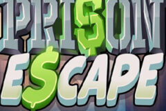 Prison Escape