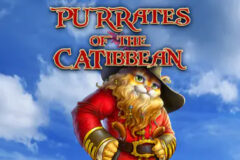Purrates of the Catibbean