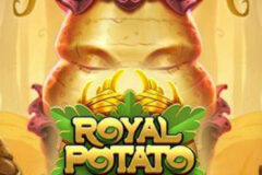 Royal Potato
