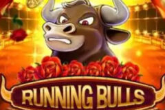 Running Bulls