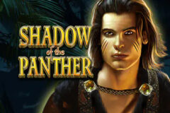 Shadow of the Panther
