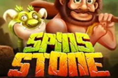 Spins Stone