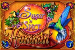 Sugar ‚n‘ Spice Hummin‘