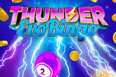 Thunder Evolution Bingo