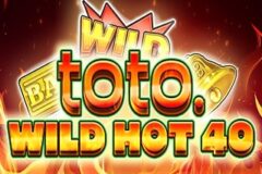 Toto Wild Hot 40
