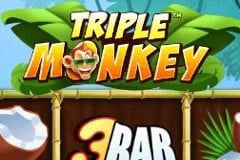 Triple Monkey