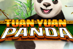 Tuan Yuan Panda