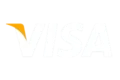 Platební metoda Visa