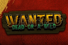 Wanted Dead or a Wild