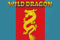 Wild Dragon