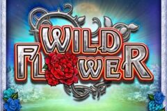 Wild Flower