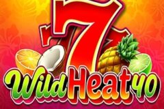 Wild Heat 40