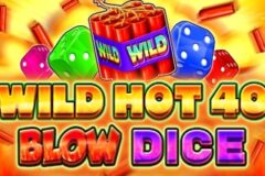 Wild Hot 40 Blow Dice